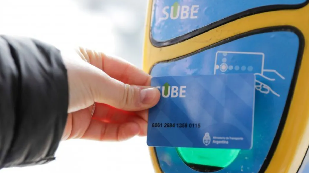 El Gobierno avanza con la SUBE gratuita para personas con discapacidad